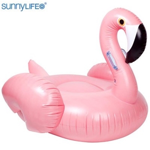 Sunny Life 138cm x 105cm Inflatable Flam