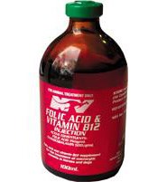 Buy Folic B12 Injection (Nature Vet) 100mL | Grays Australia