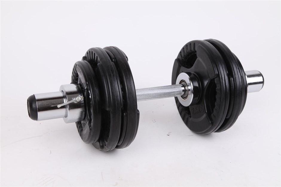 Olympic Dumbell Handles Pair Bearings We