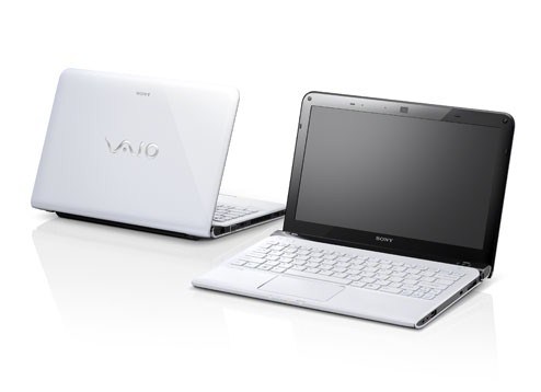 Sony VAIO E Series SVE11116FGW 11.6 inch