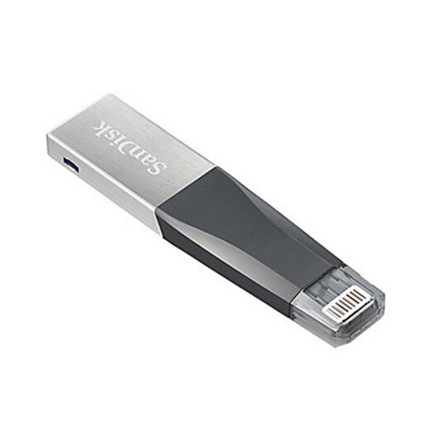 SanDisk IXPAND IMINI FLASH DRIVE SDIX40N