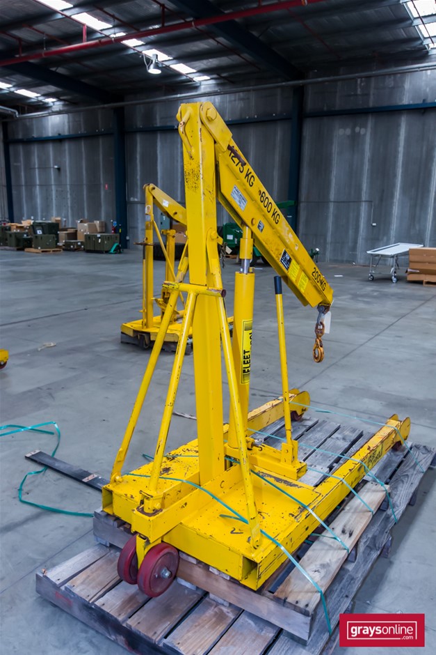 Portable Floor Crane Auction (03135036408) Grays Australia