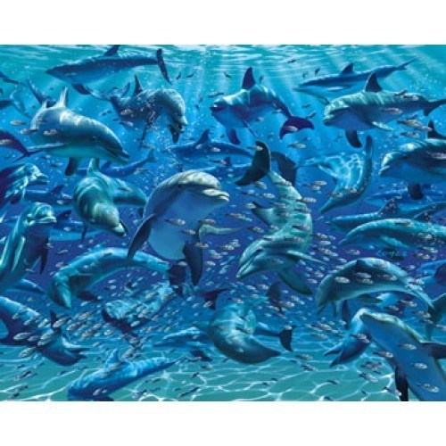 Visual Echo Mini Fun With Dolphins 3D Ji