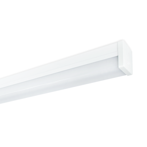Buy FL1230W - Fuzion Lighting- Box With 6 - Diffused Batten Wide T8 ...