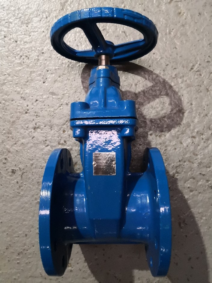 Gate Valve with Wheel Handle - Flanged (65mm) Auction (0001-3017074 ...