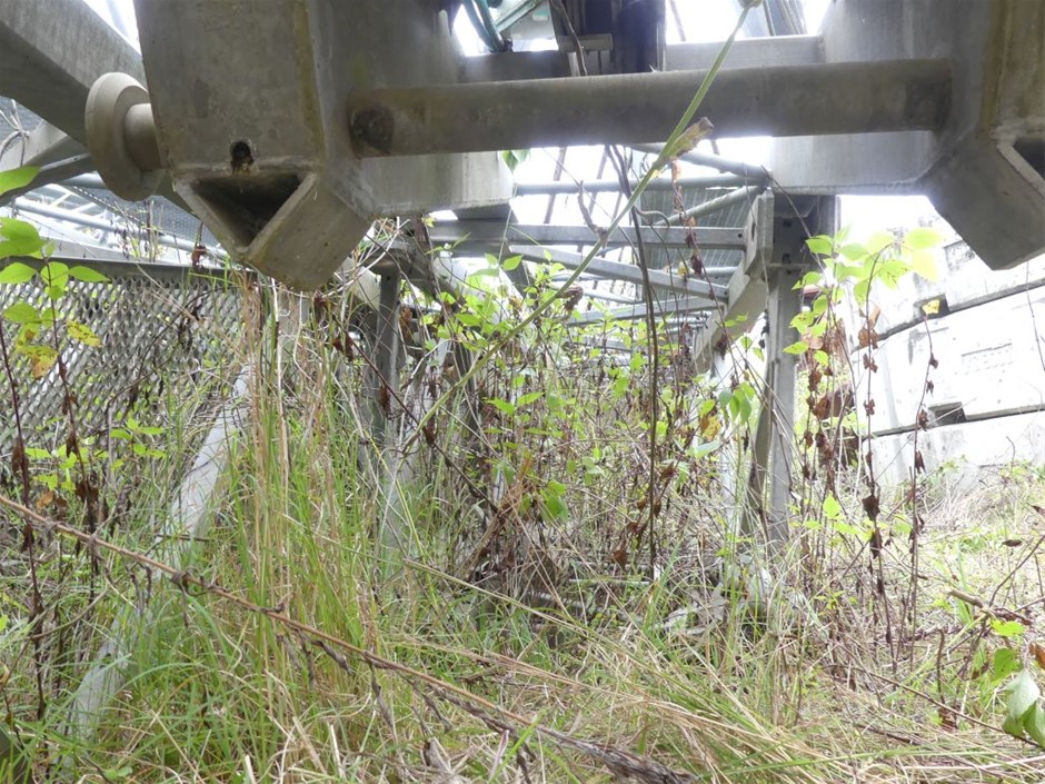 18K Gold-Filled Cuban Chain Bracelet, 9.5MM Wide - 20.3cm