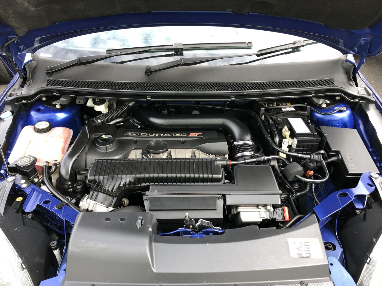 17.27 Carats Green Jade