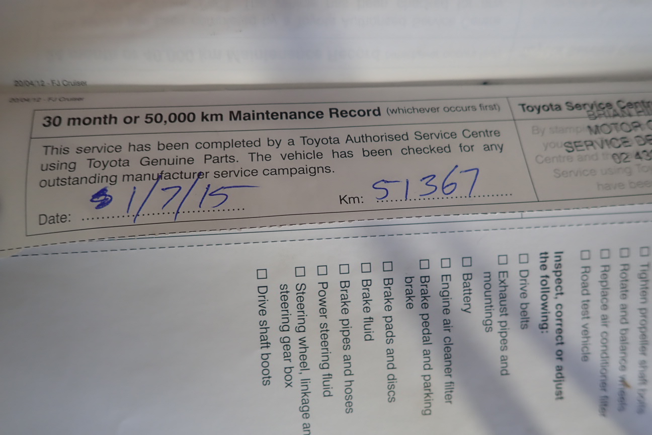 Black 7-8mm Potato Shape Pearl with Real Platinum Plated Bracelet