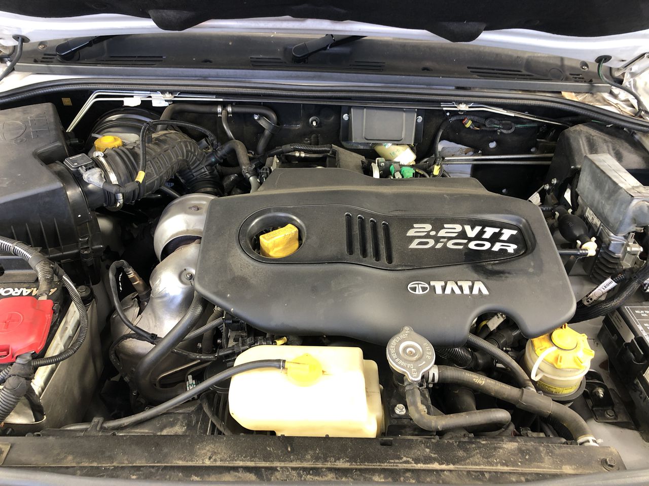 Unique Amethyst Pend