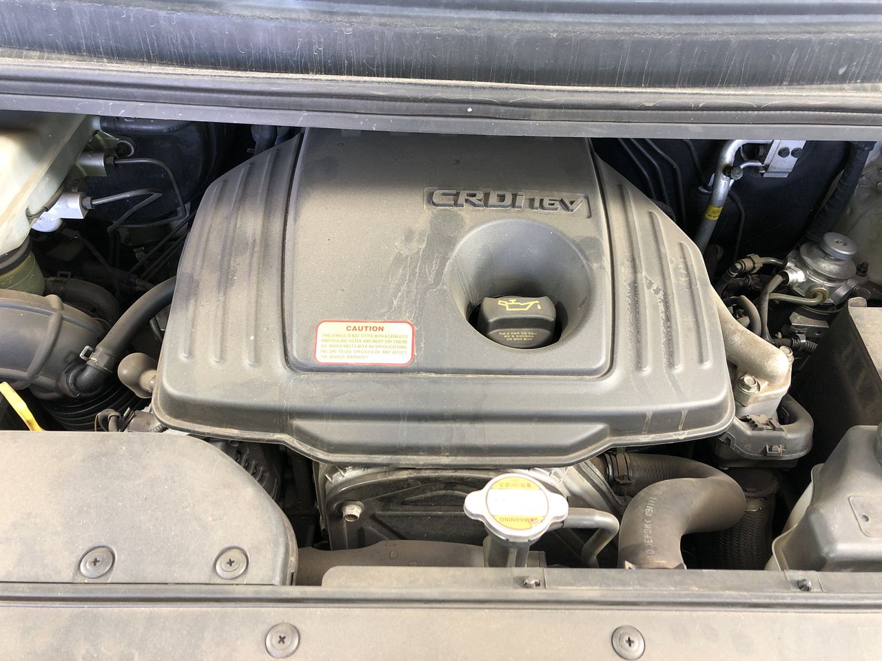 Amethyst Gemstone Gold Stardust Drop Earrings