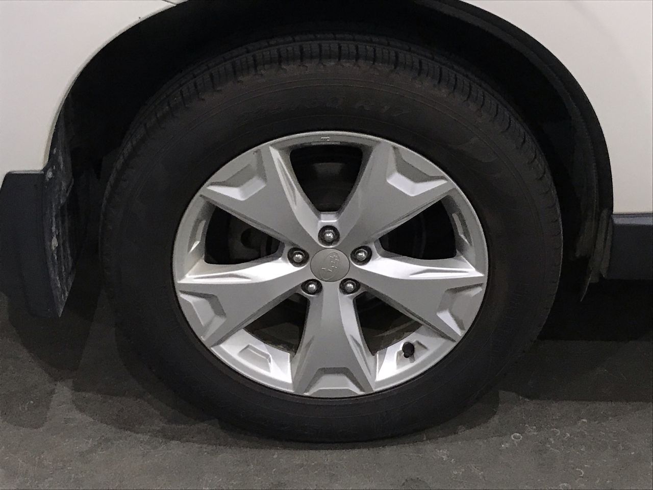 Hazelview Shiraz 2021 (12x 750mL) Langhorne Creek