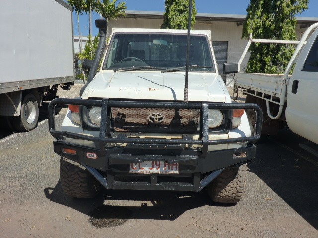 Stainless Steel Unisex Curb Bracelet in Gold (adjustable)