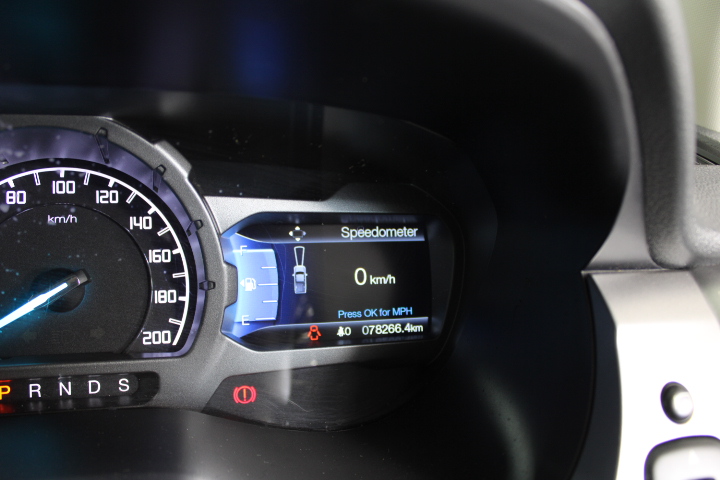 GRA Moissanite White Brilliant Cut Stone Cuban Bracelet -S925-19cm