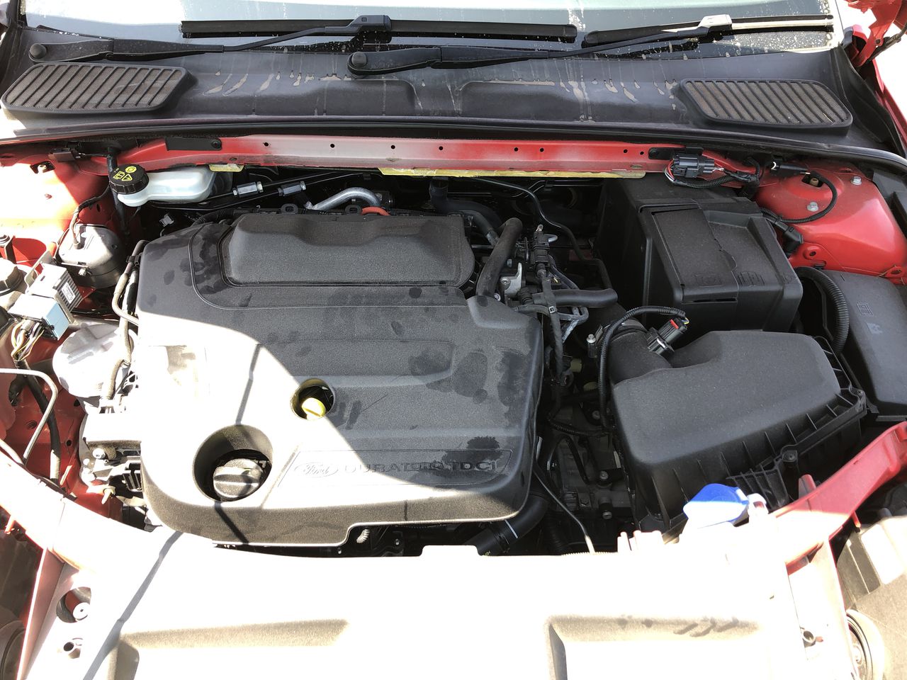 2.0ctw GRA Moissanite white Brilliant Cut 925 Sterling Silver Earring-VVS1