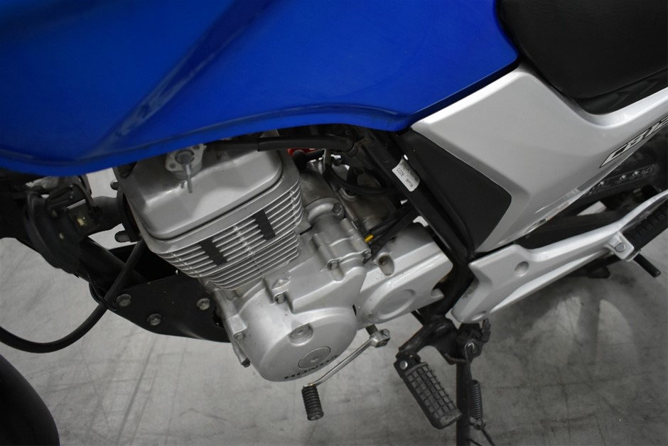 1200 Thread Count Egyptian Cotton Flat Sheet | French Beige | Double