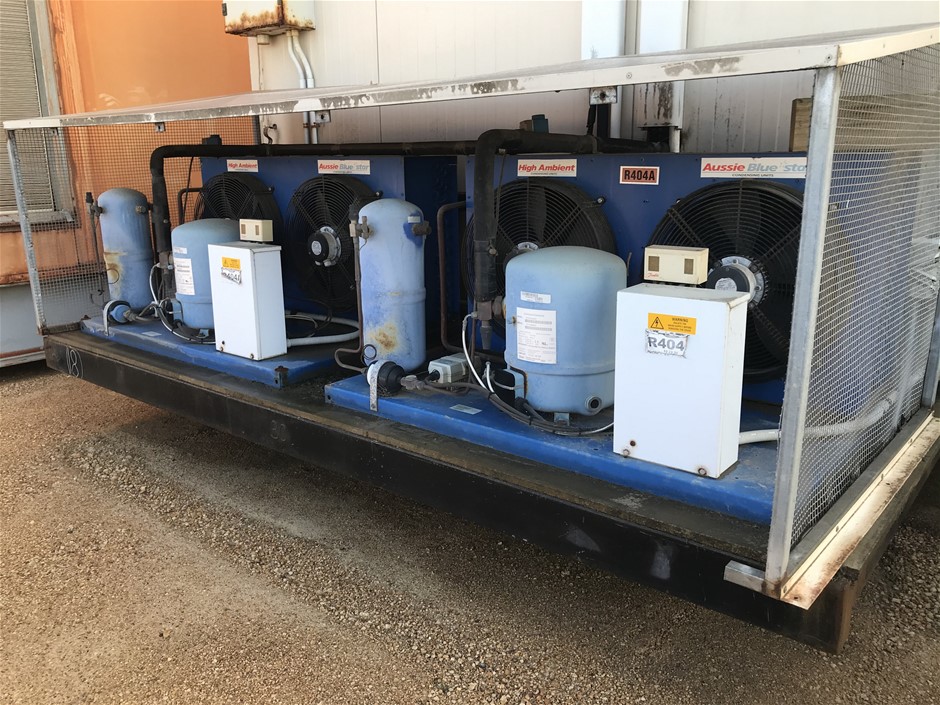 2 x Box of 36pk TORTO Hong Kong Black Sesame Dessert, 40g Each. NB: Not in