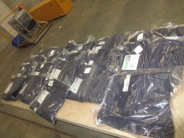 NEW!! LIMITED 2024 BLUEY DOLLARBUCK & BINGO $1 DOLLAR UNC Coin 2 CARD SET