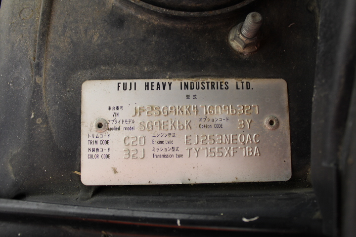 MADDOX Calvin Cargo Shorts, Size 36, Olive. NB: may have been worn.