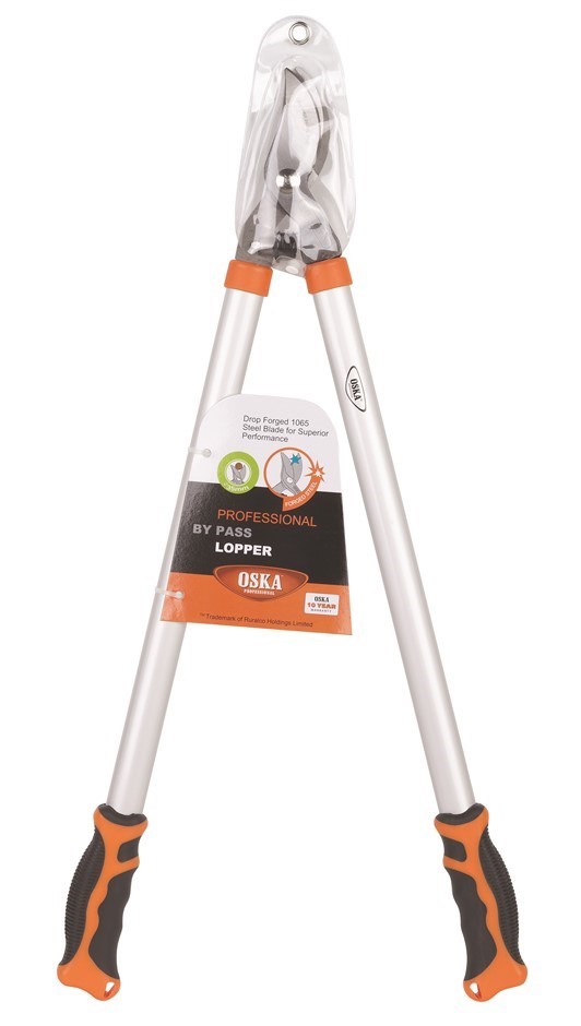 50c Australia 2026 Year of the Horse UNC