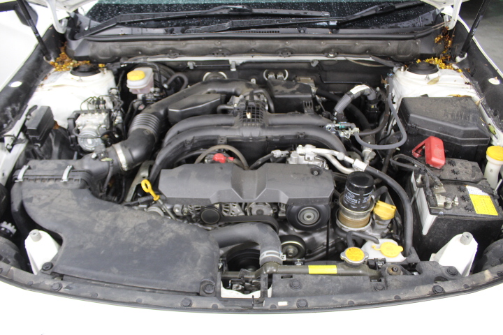 Bleasdale Mulberry Tree Cabernet Sauvignon (6x 750mL). SA