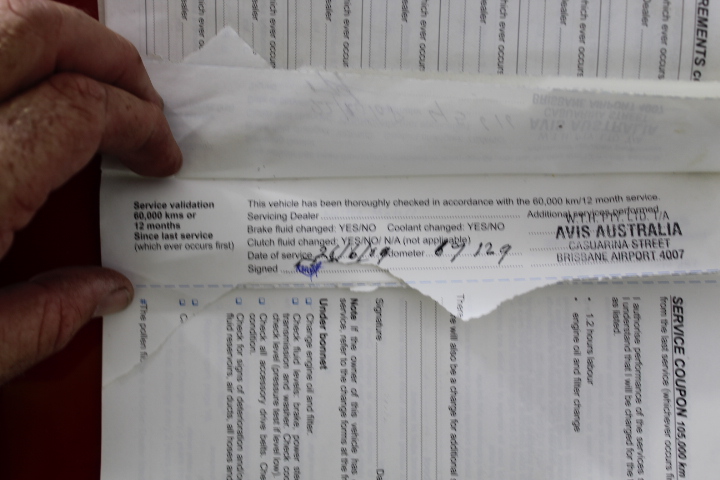 DIGIBALE Blue Nylon Dog Collar - New (Lot of 25)