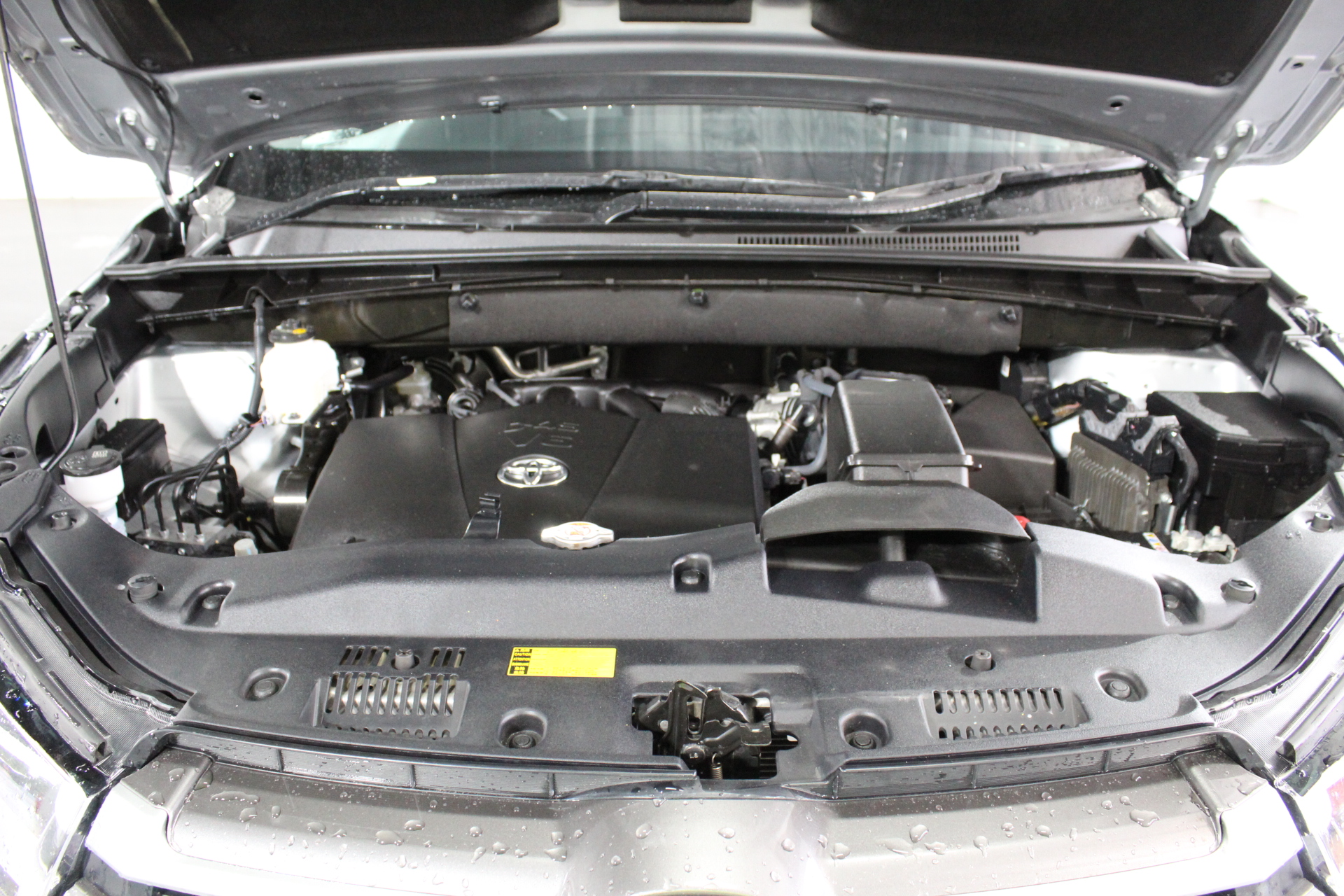 Trek Blue Road Bicycle