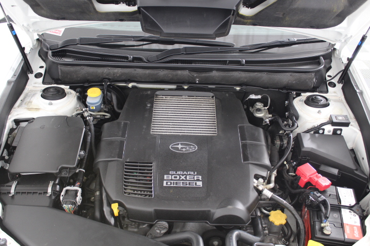 Green/Blue Bicycle (Possible Spray Paint)