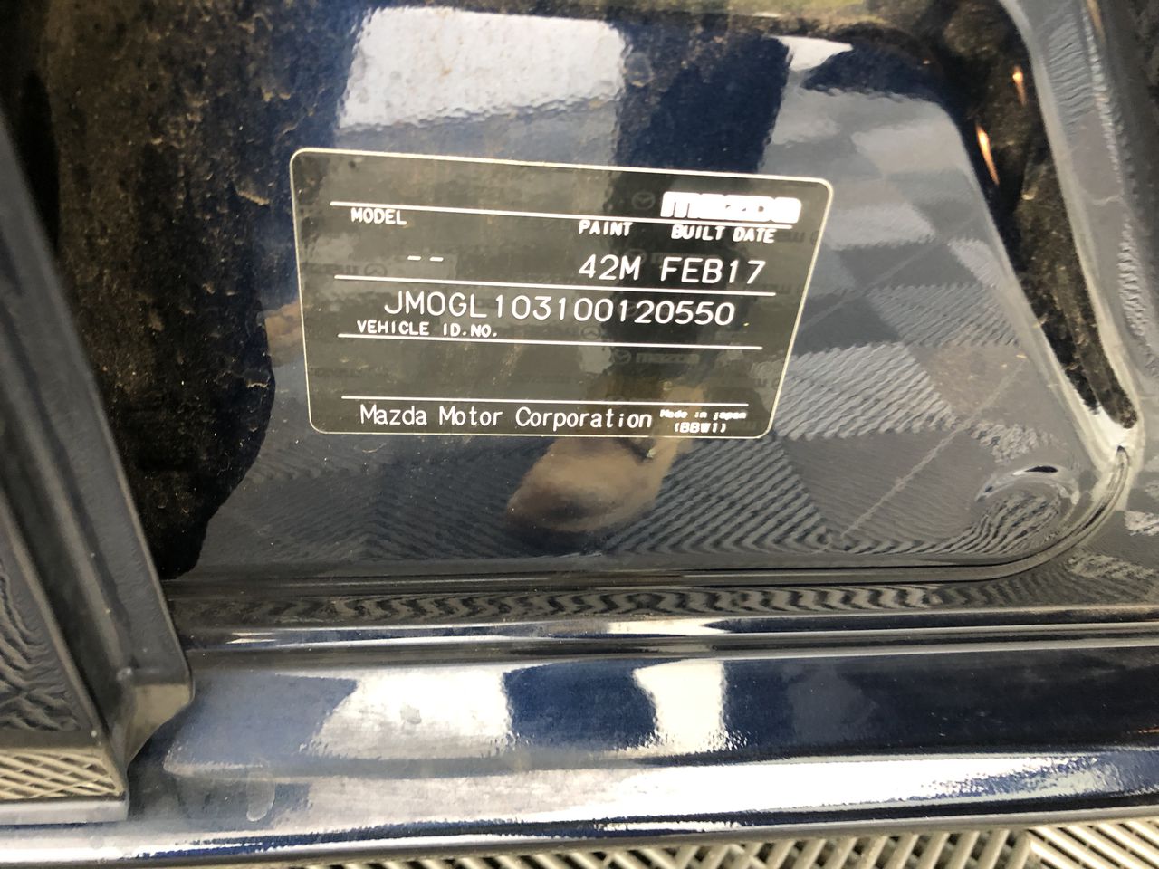 Lovisa & Harli + Harpa Brand New Jewellery Bundle