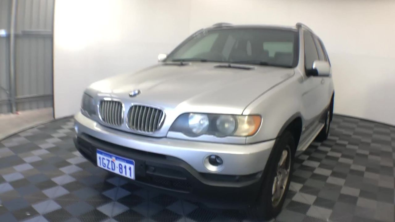 Set of 2 Large Wrought Iron Style Gates with Wildlife Scene (Unused)