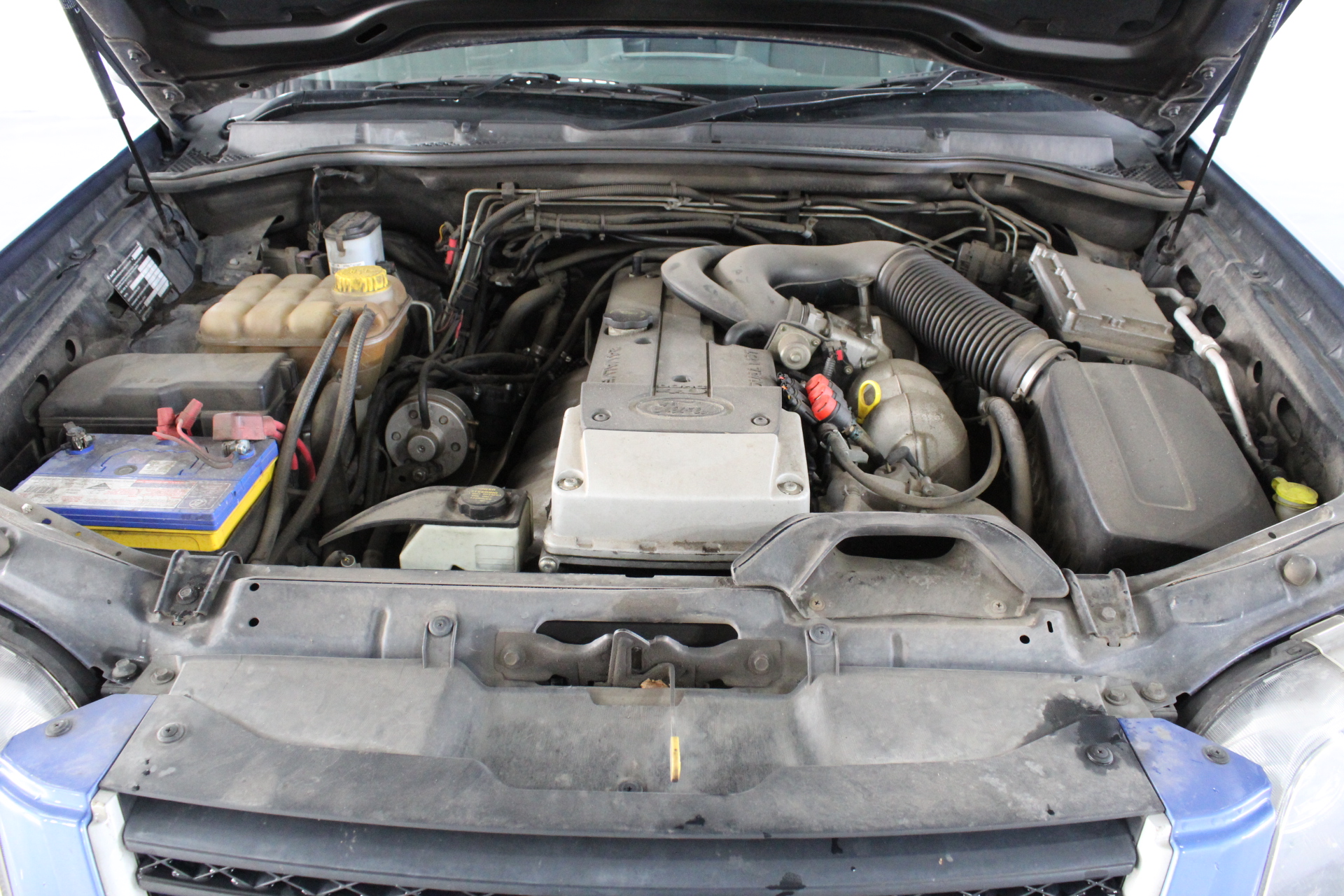 Stalking Horse Shiraz 2021 (12x 750mL) Langhorne Creek, SA