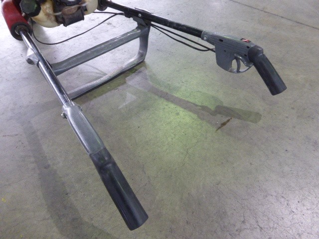 SINA Sauvignon Blanc 2024 (6x 750mL) Marlborough