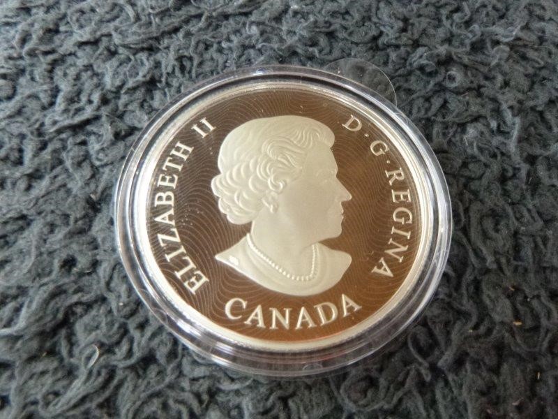 De Bortoli `The Accomplice` Shiraz (12x 750mL) Riverina