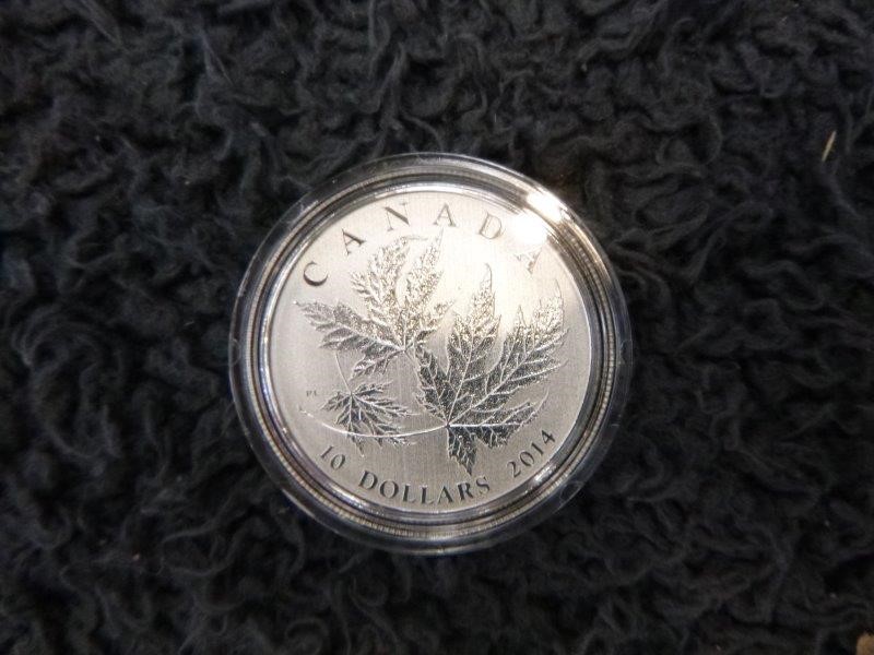 Little Giant Pinot Noir (6x 750mL).