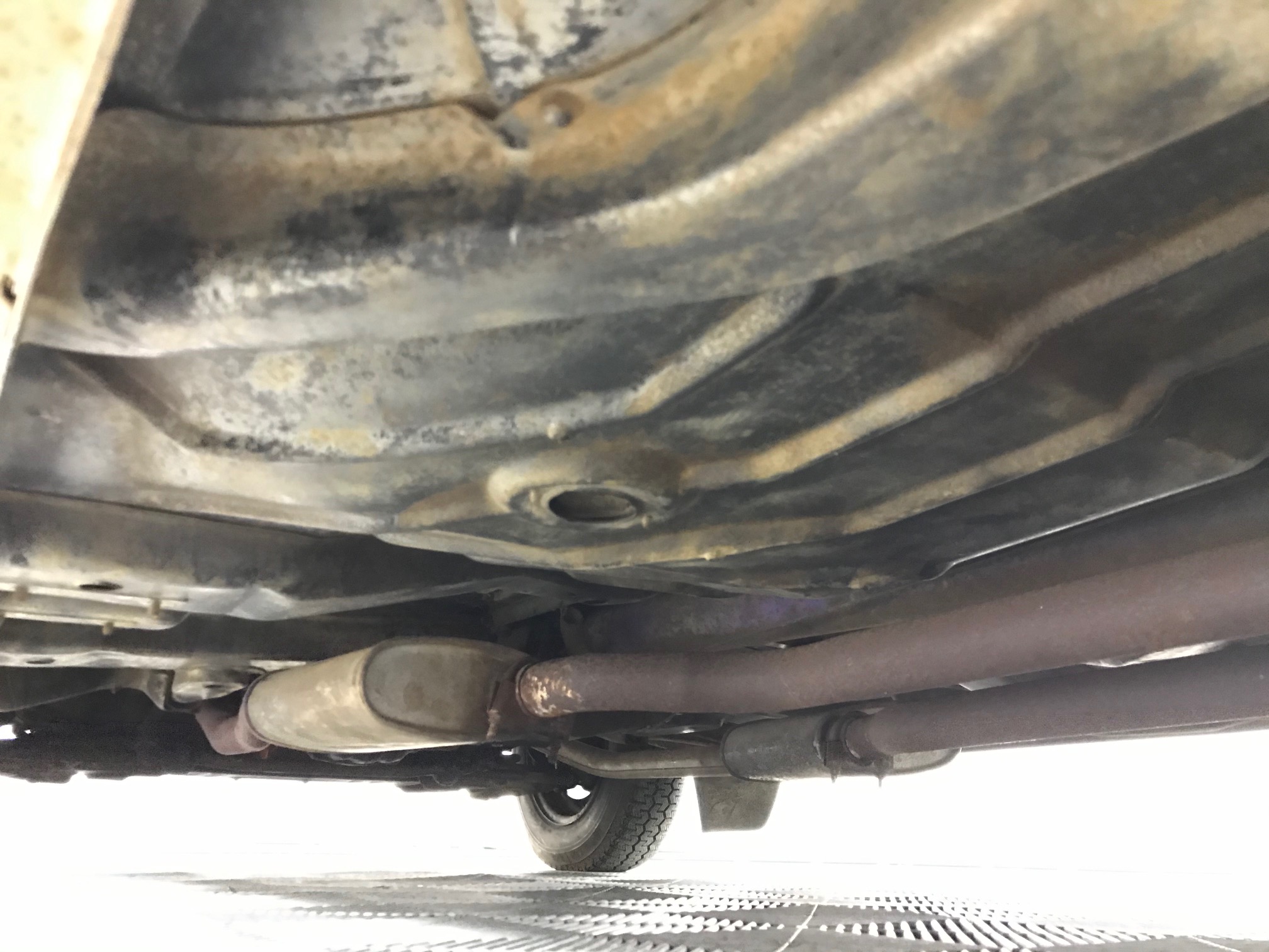 The Drover Pinot Grigio 2025 (12x 750mL) SEA