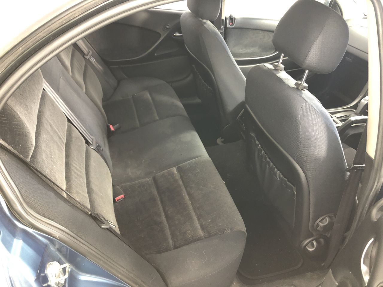 Magic Box Shiraz 2019 (6x 750mL) SEA