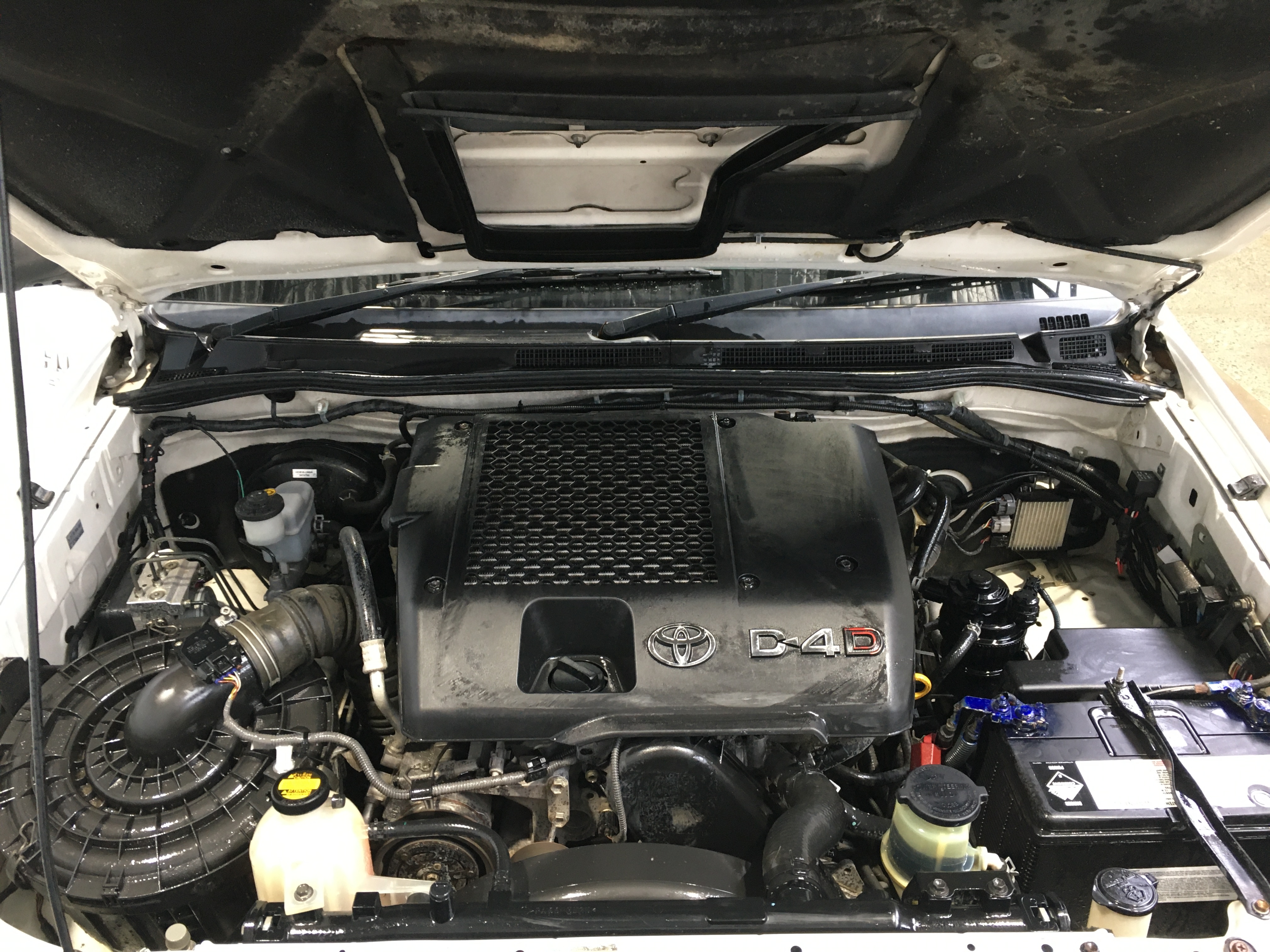 GRA Moissanite White Brilliant Cut 925 Sterling Silver Earrings-VVS1