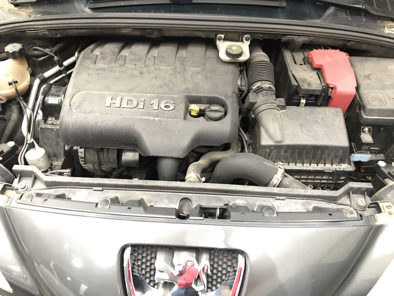 Fishbone Ruby Rose 2023 (6x 750mL) Margaret River