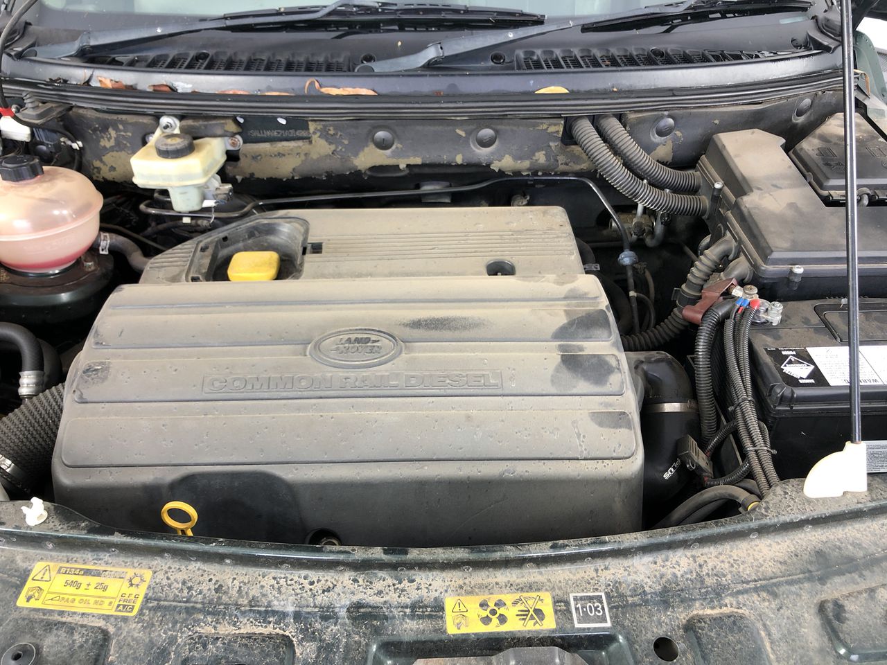 Dee Vine Estate Range Pinot Grigio 2025 (12x 750mL) NSW