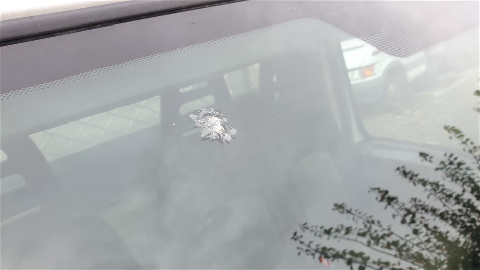 Fishbone Blue Shiraz 2024 (6x 750mL) Geographe