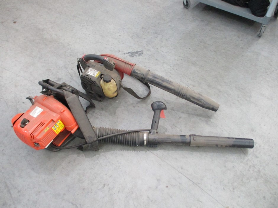 Little Giant Pinot Noir (6x 750mL). Current Vintage Release