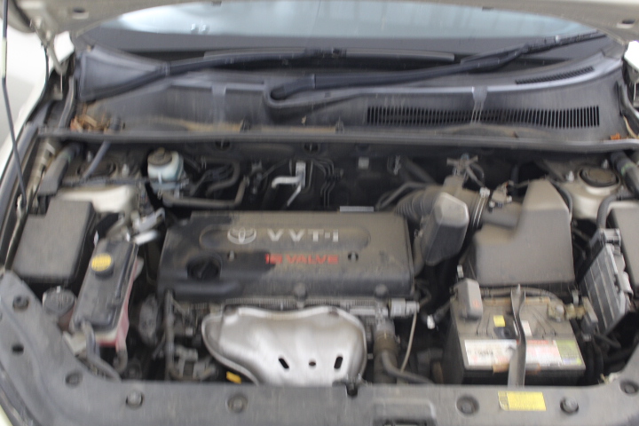 Wildsyde Electric Cruiser Bicycle