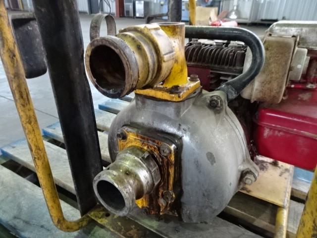 Casella Limited Release Cleanskin Cabernet Sauvignon 2012 (12x 750mL) SA