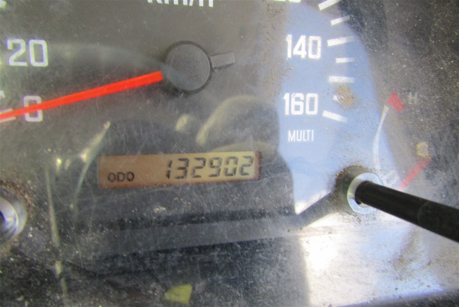 Elephant in the Room Pinot Gris 2025 (6x 750mL).