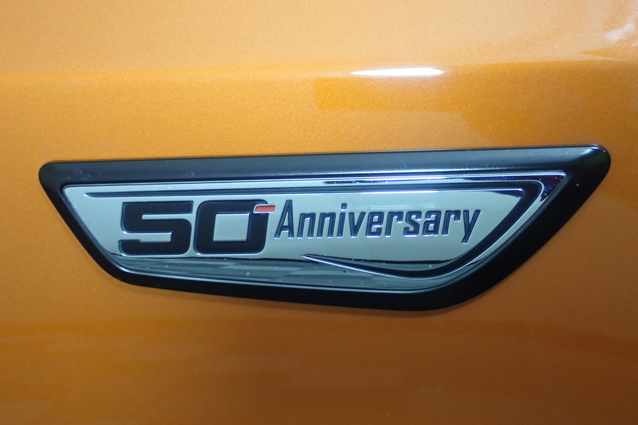 10mm Natural Amethyst & Nugget Pearl with Gold Trim Pendant Necklace