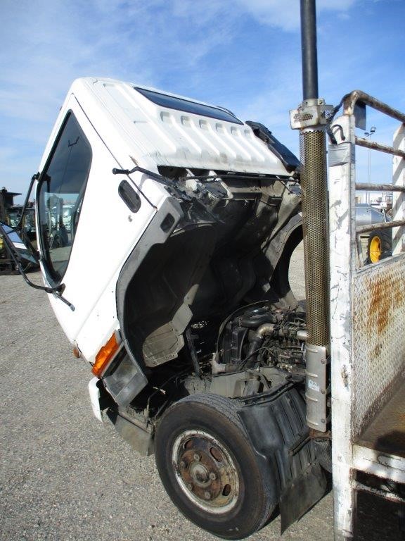 6mm Tiger Eye & Baroque Pearl Dangling Earrings.