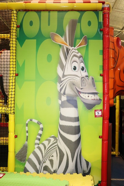 9K Yellow Gold SHELL STUD EARRINGS