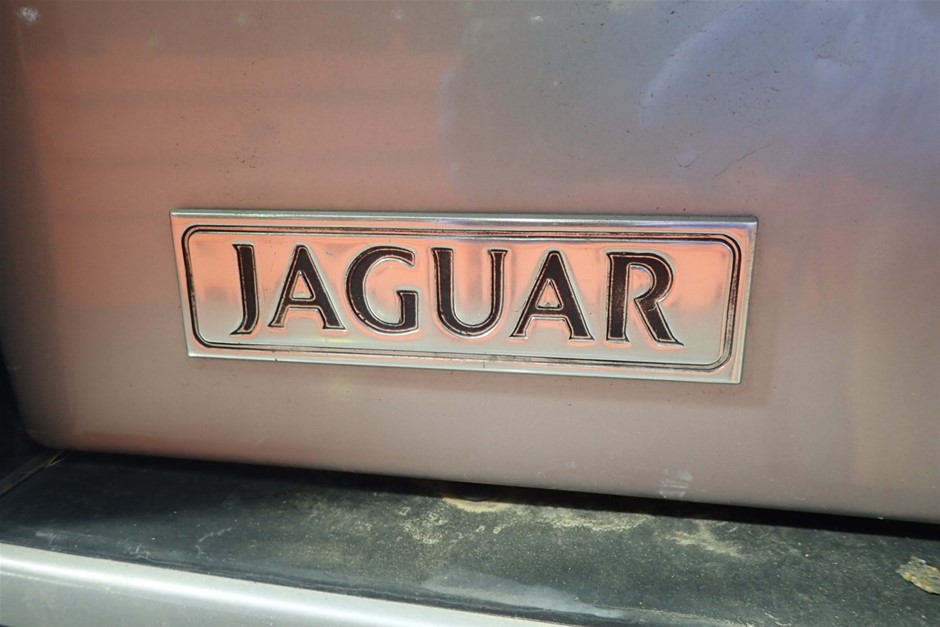 AMAZON BASICS Dog and Puppy Pee Pads with Leak-Proof Quick-Dry Design for P