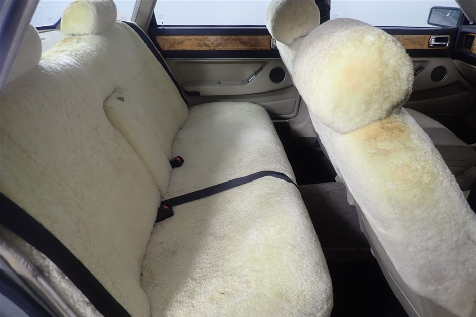 PETIO Electric Dancing Kerigurumi Haniwa Cat Toy, Honeywa.