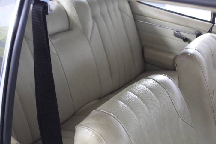 Lost Sheep Sauvignon Blanc 2025 (12x 750mL) SEA