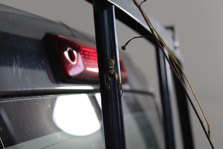 2 x 720pc Lock Sets Washer Assortments,  Zinc Plated. Sizes 75 x #6 , 75 x